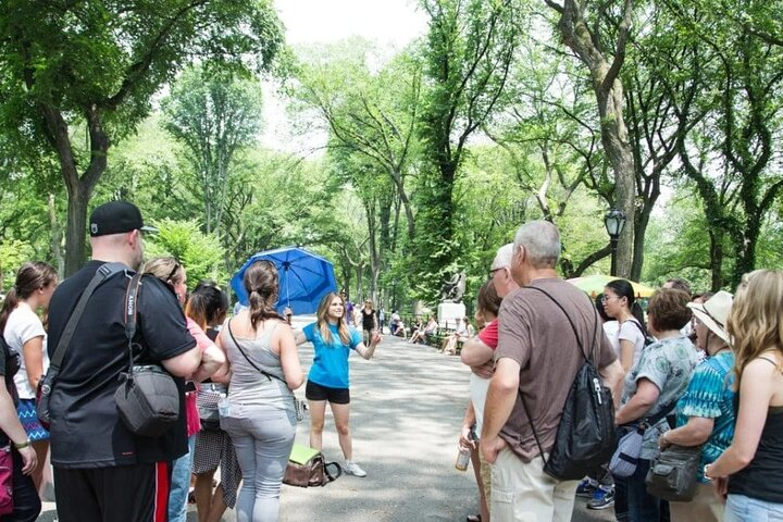 Central Park Walking Tour 2 Hour, South Loop - Photo 1 of 6